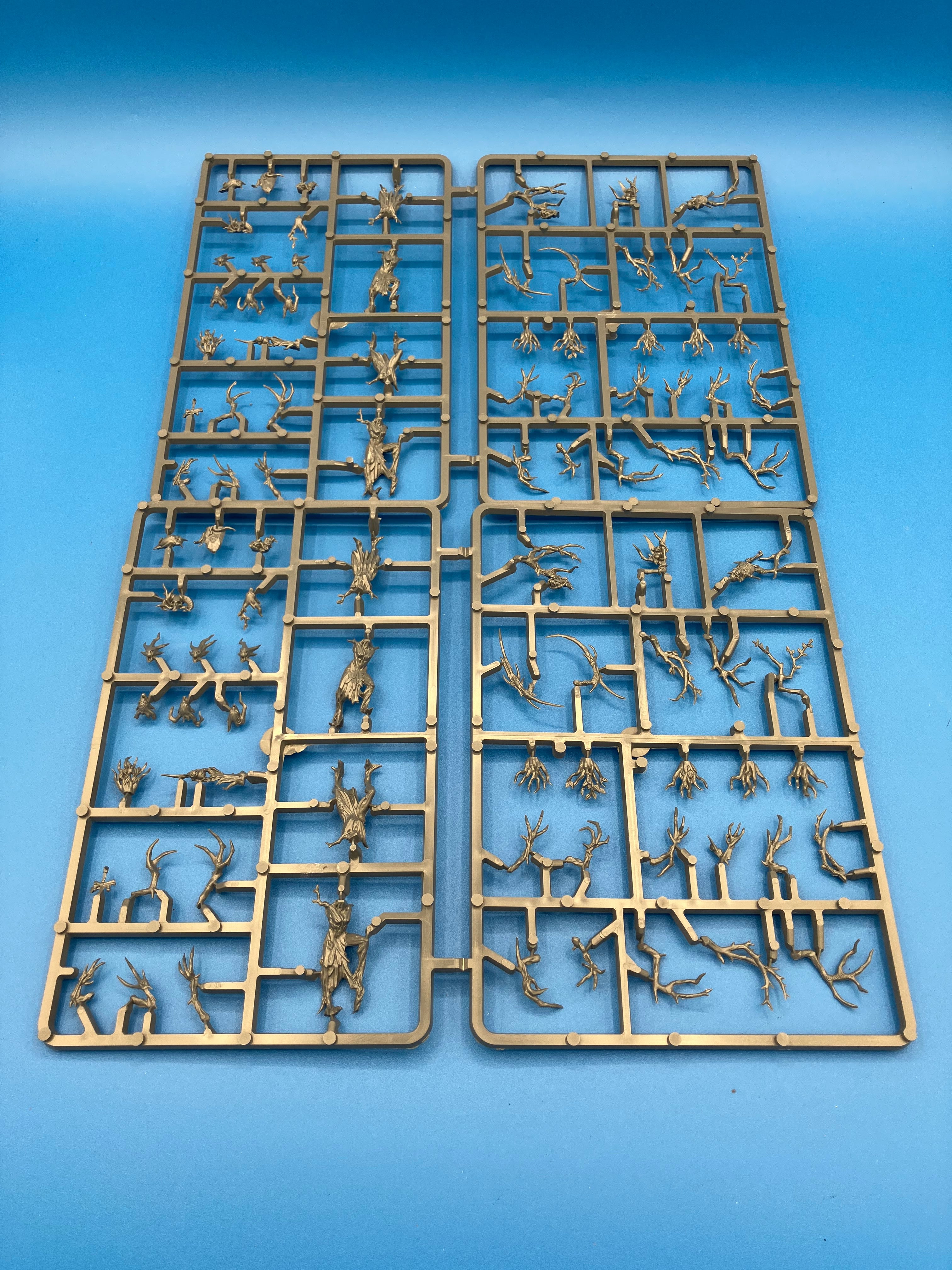 Age of Sigmar: Sylvaneth - Dryads (Used) (On Sprue) Lot 1