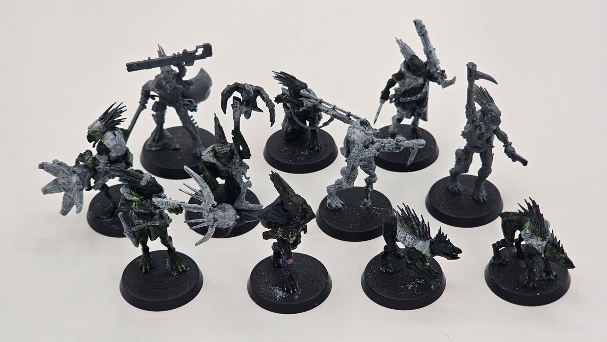 40K: Tau Empire - Kroot Farstalkers (USED, MISSING BITS AND 1 MODEL)