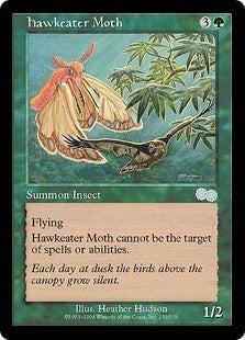 Hawkeater Moth (USG-U)