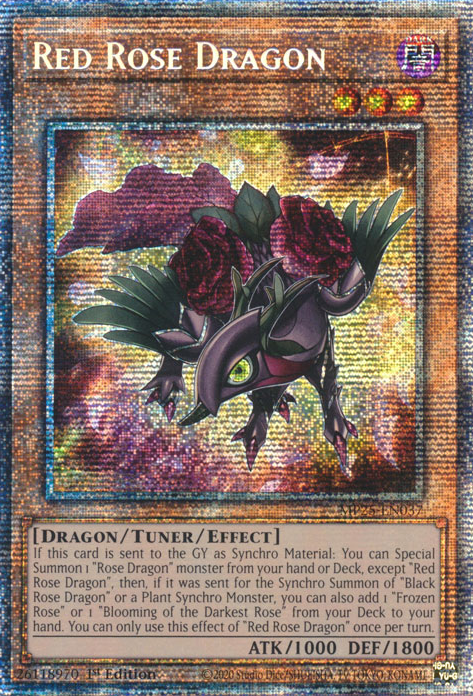 Red Rose Dragon (MP25-EN037)
