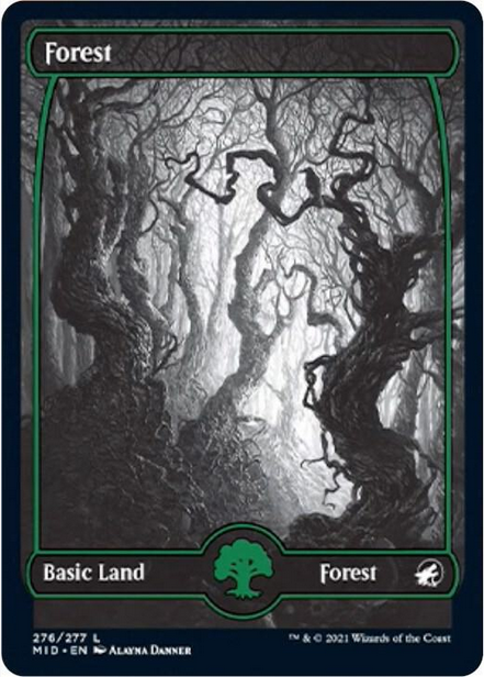 Forest [#276] (MID-C-FOIL)