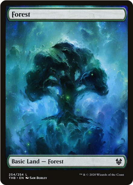 Forest [#254 Full Art] (THB-C-FOIL)