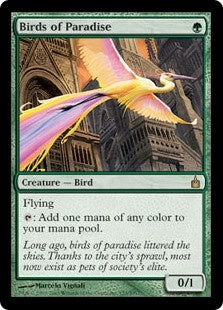 Birds of Paradise (RAV-R)