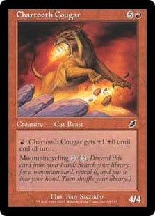 Chartooth Cougar (SCG-C)