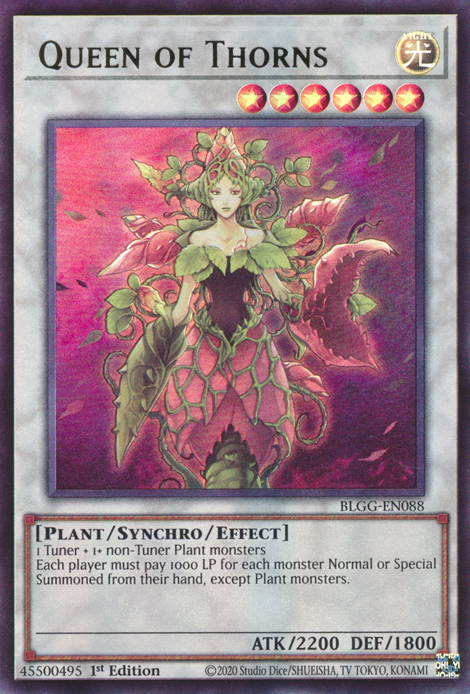 Queen of Thorns (BLGG-EN088)