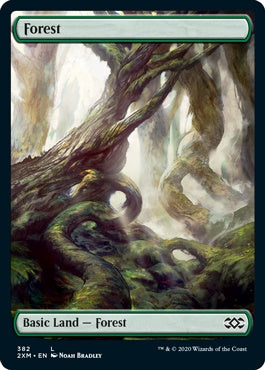 Forest [#382 Full-Art] (2XM-C)