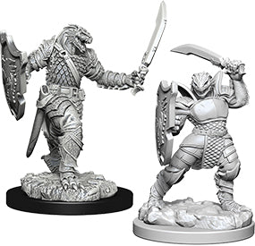 D&D: Nolzur's Marvelous Miniatures - Dragonborn Female Paladin W5