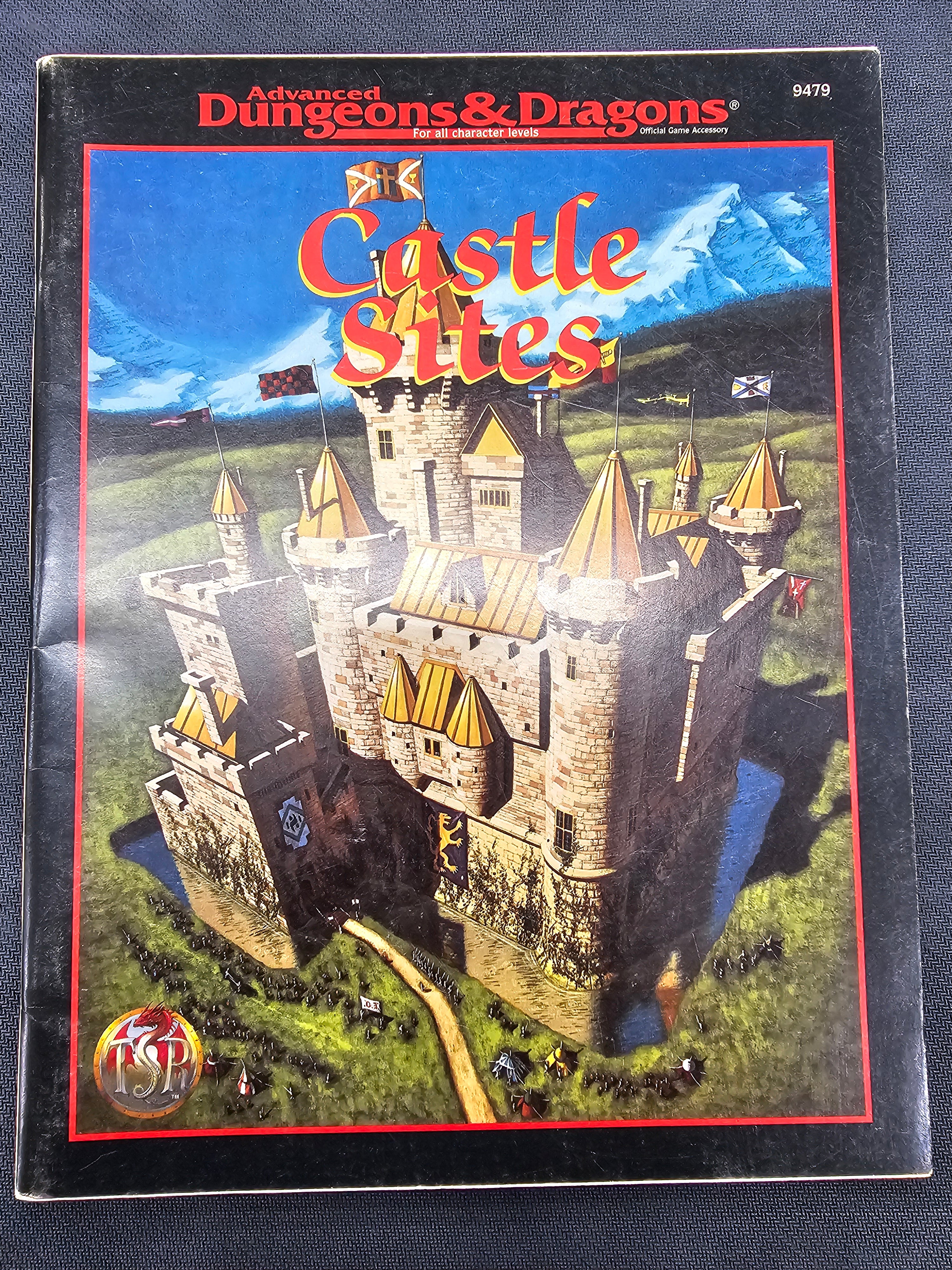Advanced Dungeons & Dragons: Castle Sites (TSR 9479) (USED)