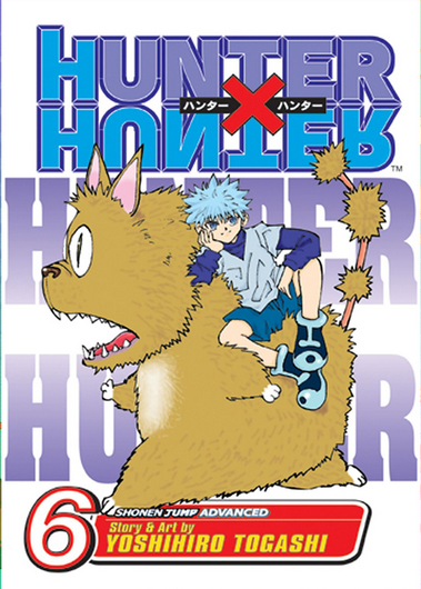 HUNTER X HUNTER GN VOL 06 (USED)