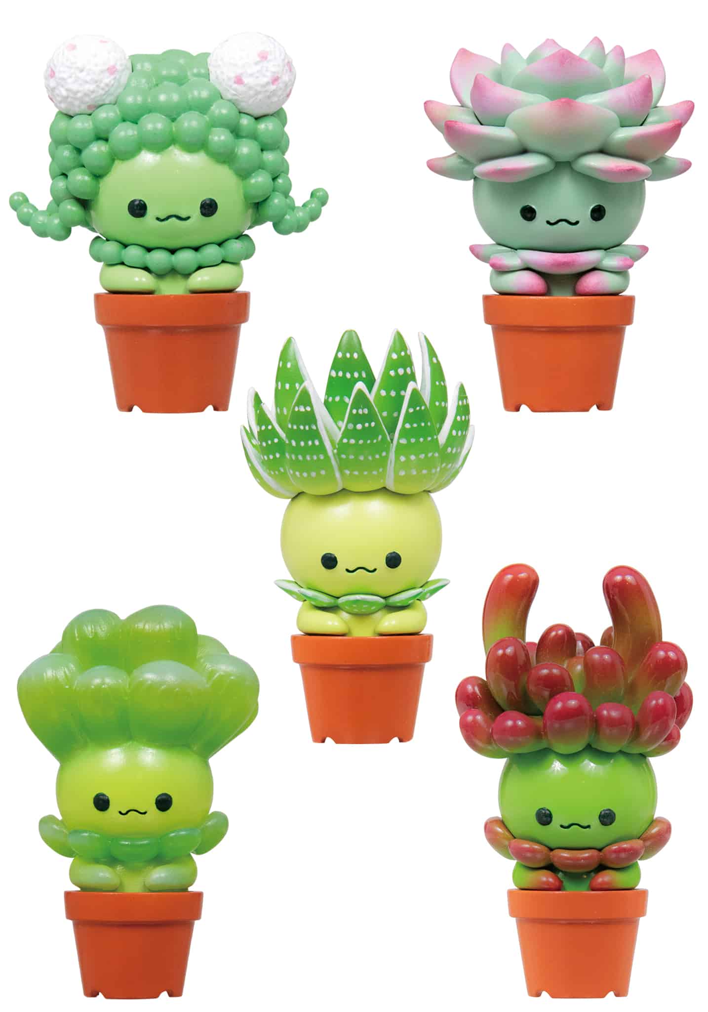 Succulent Friends Blind Box