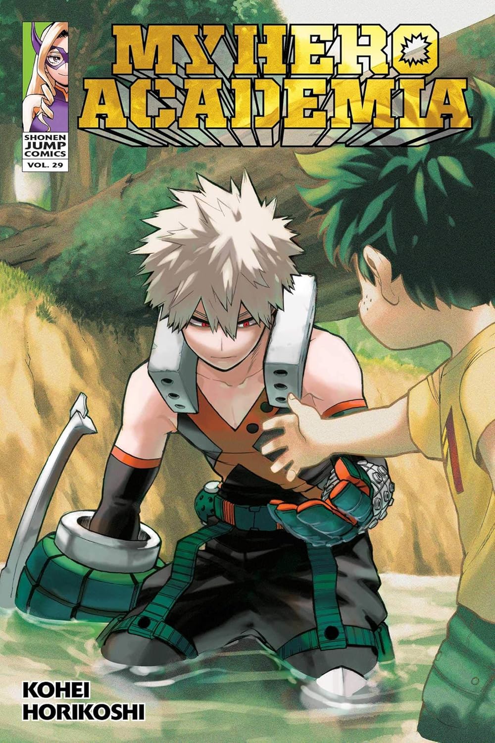 My Hero Academia Vol 29 (Used)