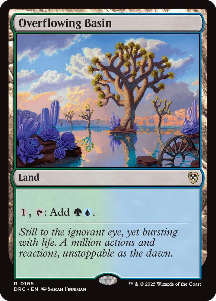 Overflowing Basin [ #0165 ] (DRC-R) Moderately Played