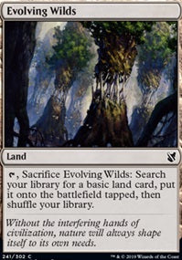 Evolving Wilds (C19-C)