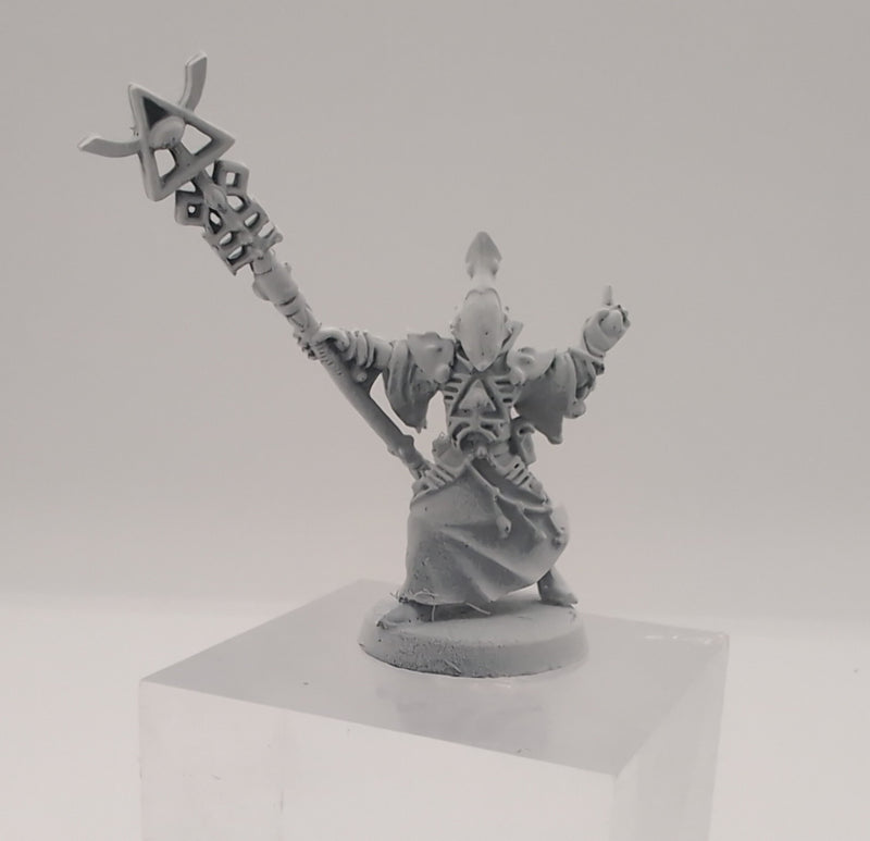 40K: Aeldari Spiritseer (USED) [Lot