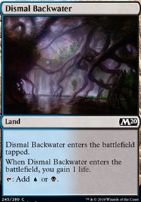 Dismal Backwater (M20-C)