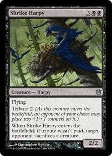 Shrike Harpy (BNG-U)