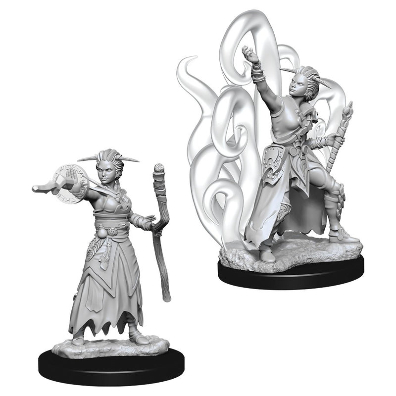 D&D: Nolzur's Marvelous Miniatures - Female Human Warlock W10