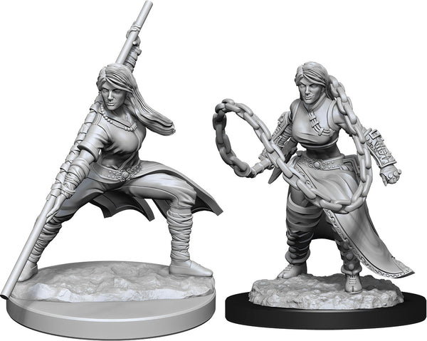 D&D: Nolzur's Marvelous Miniatures - Human Monk Female W14