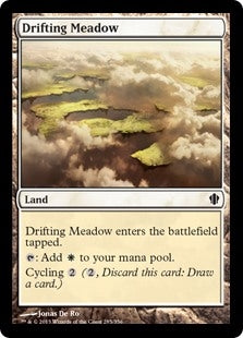 Drifting Meadow (C13-C)