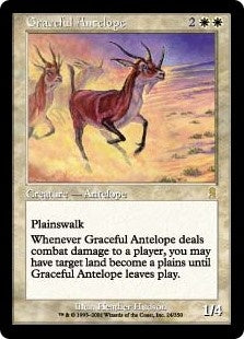 Graceful Antelope (ODY-R)