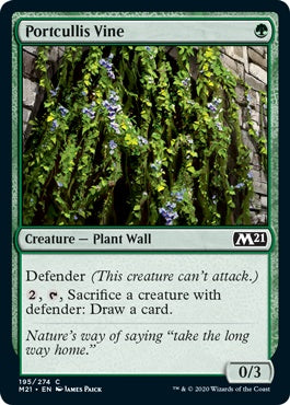 Portcullis Vine (M21-C)