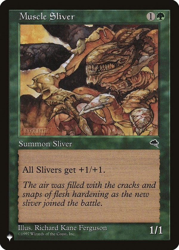 Muscle Sliver (TMP-C-LIST)