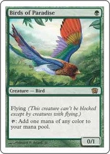 Birds of Paradise (8ED-R)