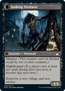 Shady Traveler//Stalking Predator (MID-C)