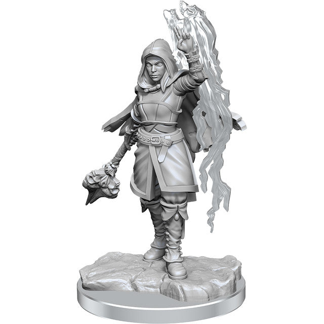 D&D: Nolzur's Marvelous Miniatures - Half-Elf Warlock (90410)