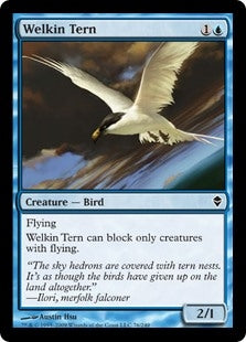 Welkin Tern (ZEN-C)