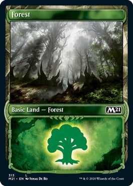 Forest [#313 Showcase] (M21-C)