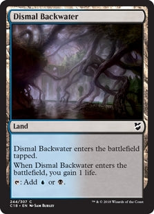 Dismal Backwater (C18-C)