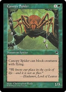 Canopy Spider (TMP-C)
