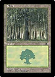 Forest [#4413] (POR-C)
