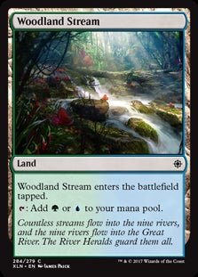 Woodland Stream [