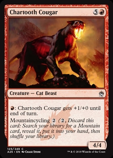 Chartooth Cougar (A25-C)