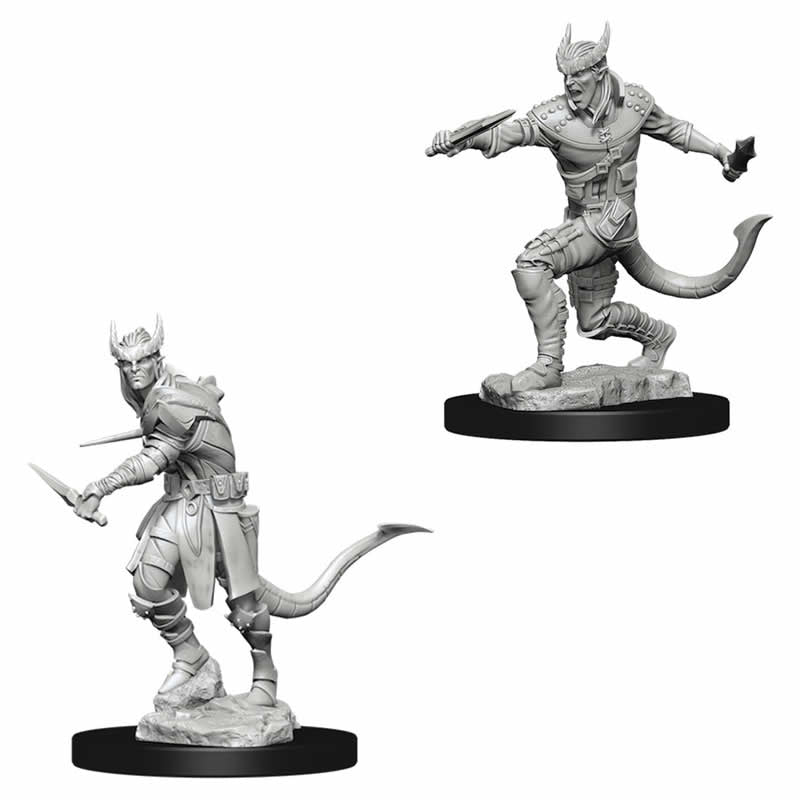 D&D: Nolzur's Marvelous Miniatures - Tiefling Male Rogue (73338)