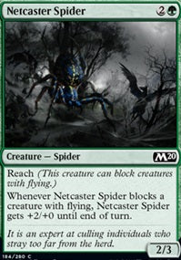 Netcaster Spider (M20-C)