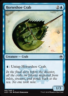 Horseshoe Crab (A25-C)