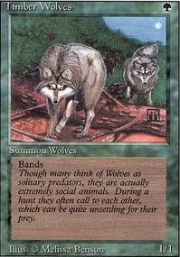 Timber Wolves (3ED-R)