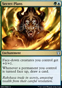 Secret Plans (C19-U)