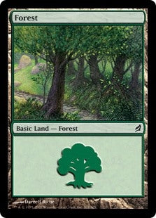 Forest [#301] (LRW-C)