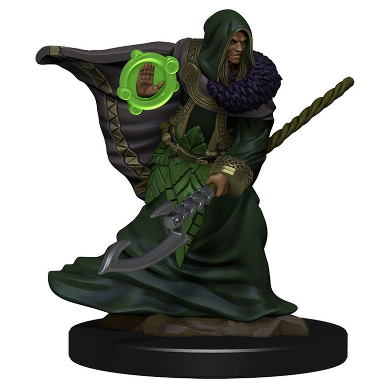 D&D Miniatures: Icons of the Realms - Premium Figure: Wave 05 - Elf Druid Male