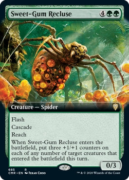 Sweet-Gum Recluse [