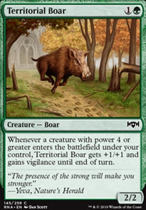 Territorial Boar (RNA-C)