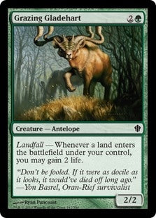 Grazing Gladehart (C13-C)