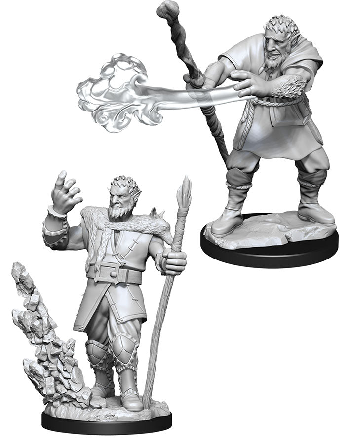 D&D: Nolzur's Marvelous Miniatures - Male Firbolg Druid W11