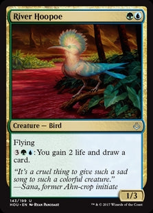 River Hoopoe (HOU-U-FOIL)