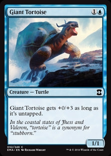 Giant Tortoise (EMA-C)
