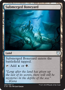 Submerged Boneyard (C18-U)